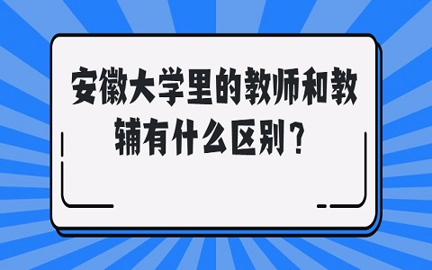 教师和教辅有什么区别